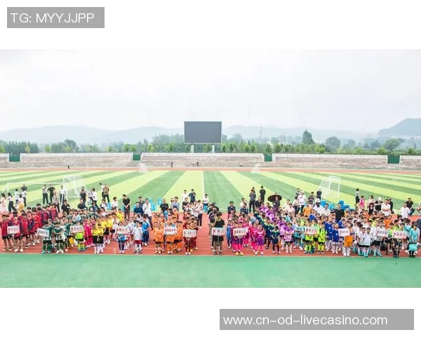 足球抢圈游戏的乐趣与技巧探讨让我们一起享受竞技的激情与团队的合作